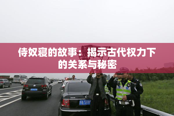 侍奴寝的故事：揭示古代权力下的关系与秘密