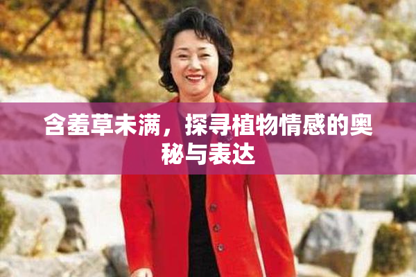 含羞草未满，探寻植物情感的奥秘与表达