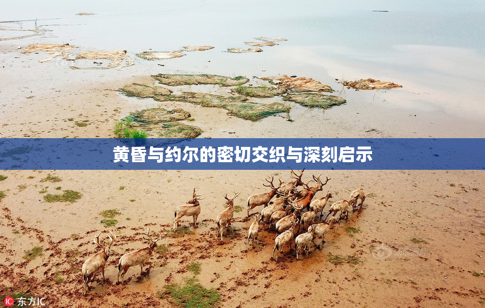 黄昏与约尔的密切交织与深刻启示