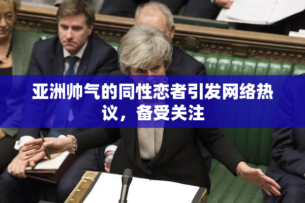亚洲帅气的同性恋者引发网络热议，备受关注