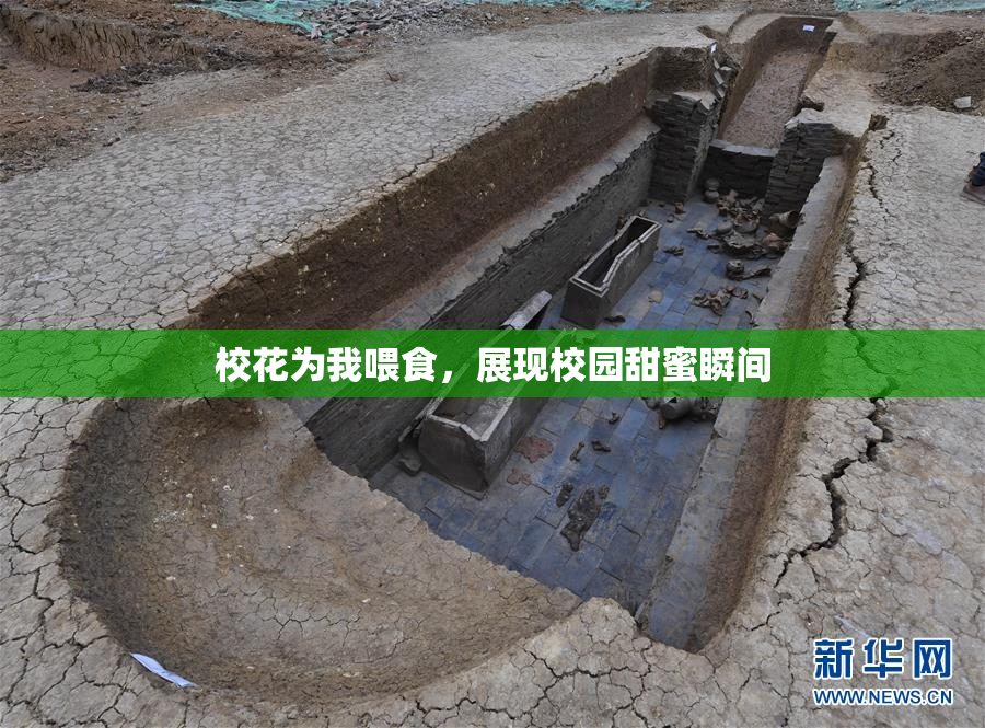 校花为我喂食，展现校园甜蜜瞬间