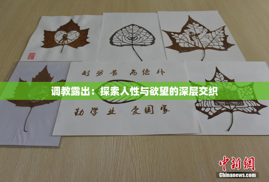 调教露出：探索人性与欲望的深层交织