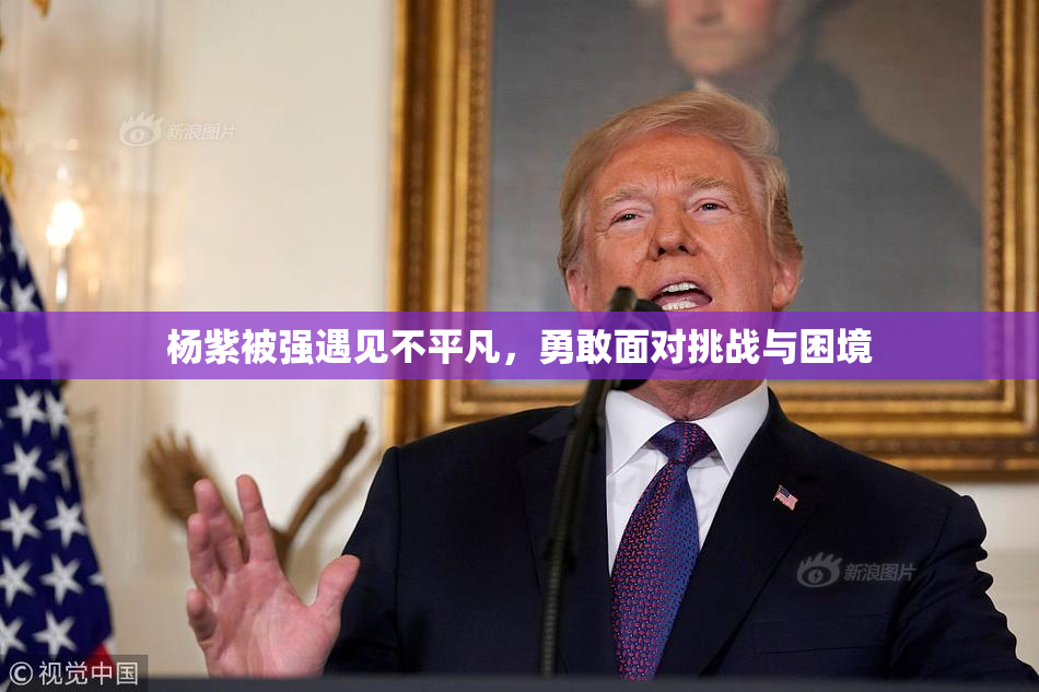杨紫被强遇见不平凡，勇敢面对挑战与困境