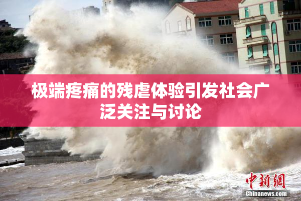 极端疼痛的残虐体验引发社会广泛关注与讨论