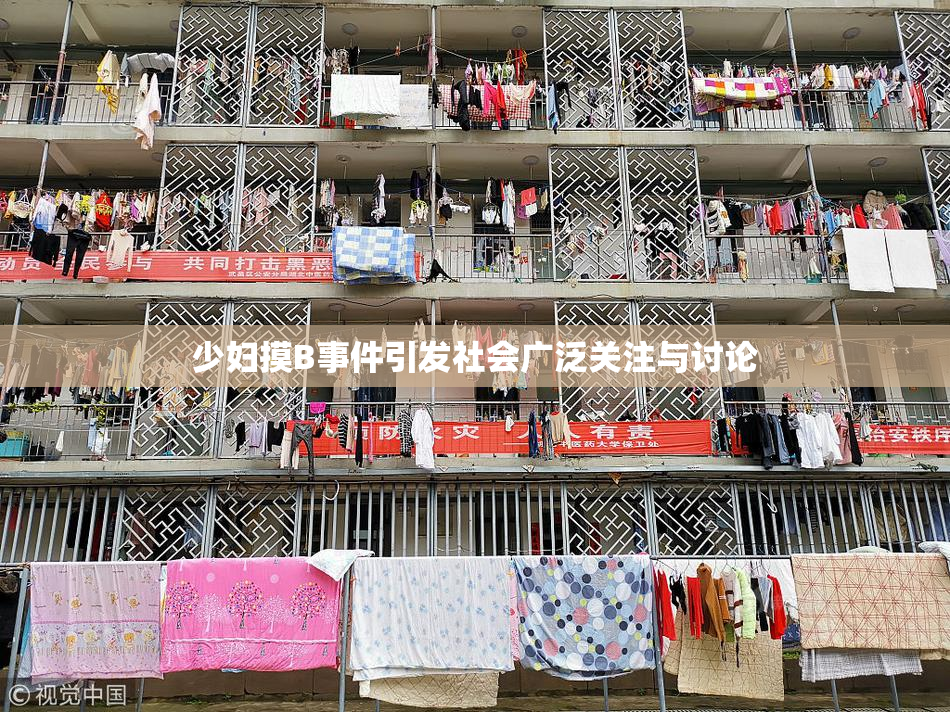少妇摸B事件引发社会广泛关注与讨论