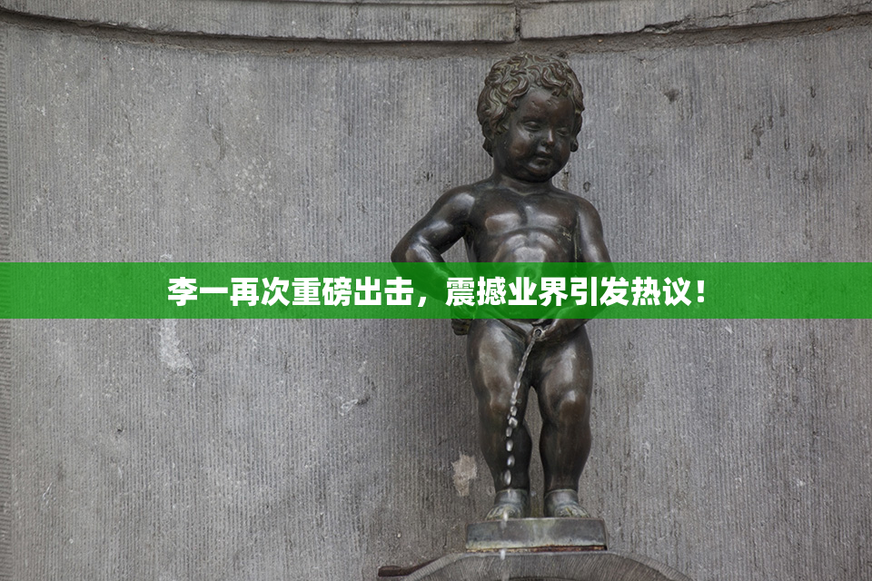 李一再次重磅出击，震撼业界引发热议！