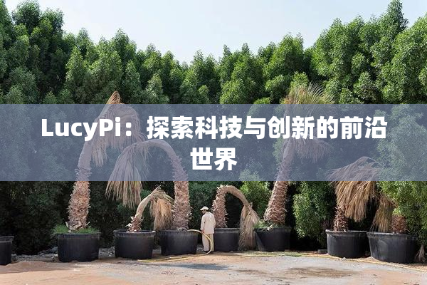 LucyPi：探索科技与创新的前沿世界