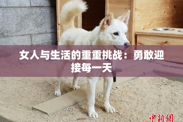 女人与生活的重重挑战：勇敢迎接每一天