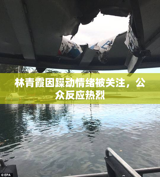 林青霞因躁动情绪被关注，公众反应热烈