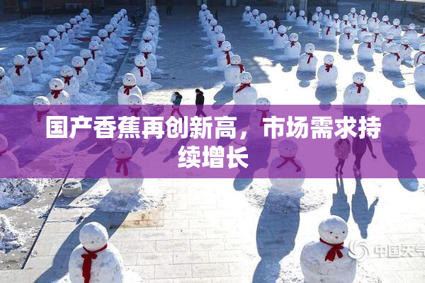国产香蕉再创新高，市场需求持续增长