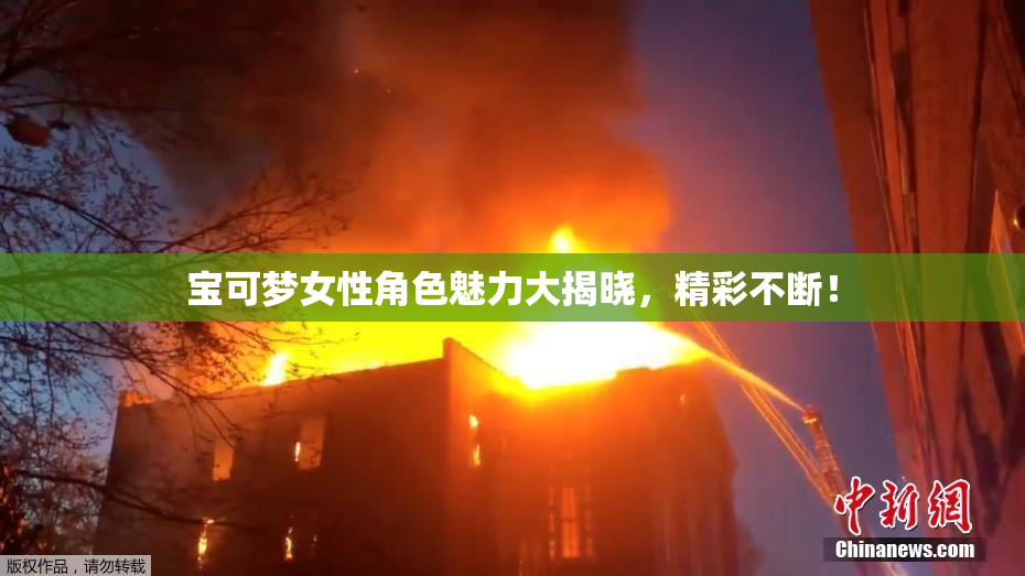 宝可梦女性角色魅力大揭晓，精彩不断！