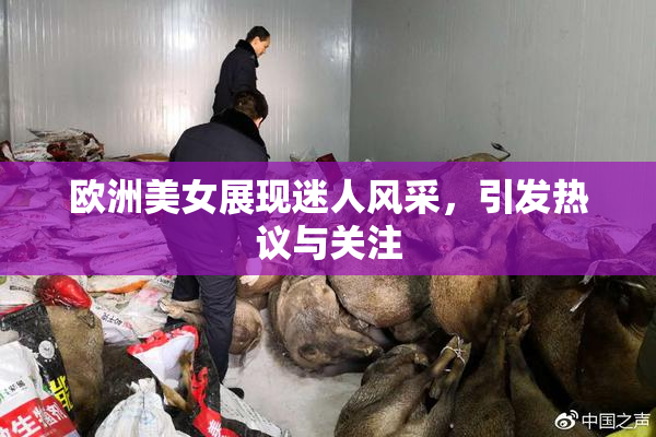 欧洲美女展现迷人风采，引发热议与关注
