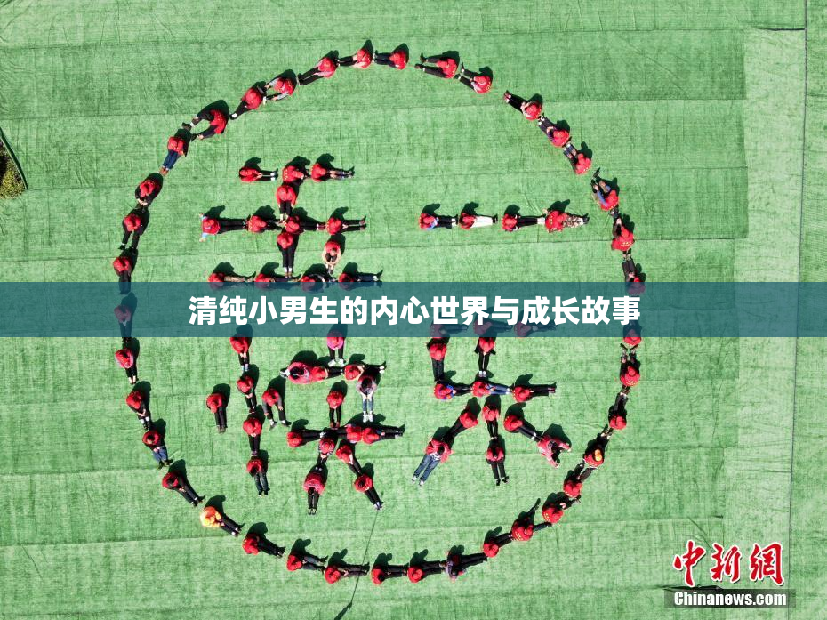 清纯小男生的内心世界与成长故事