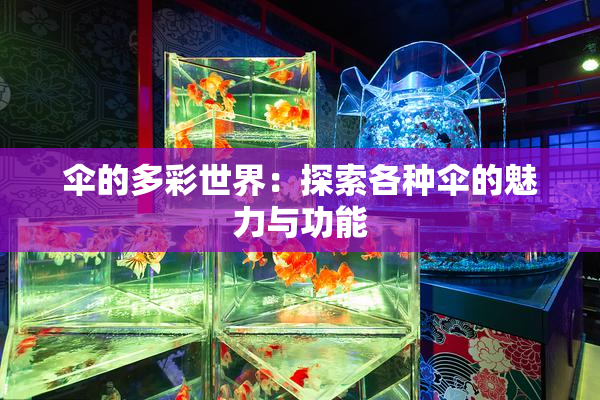 伞的多彩世界：探索各种伞的魅力与功能