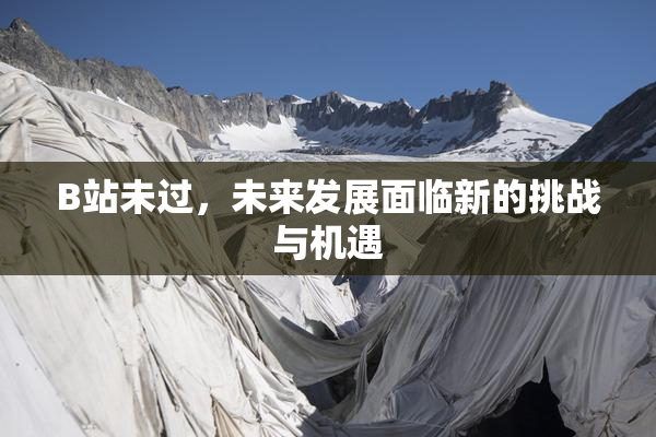 B站未过，未来发展面临新的挑战与机遇