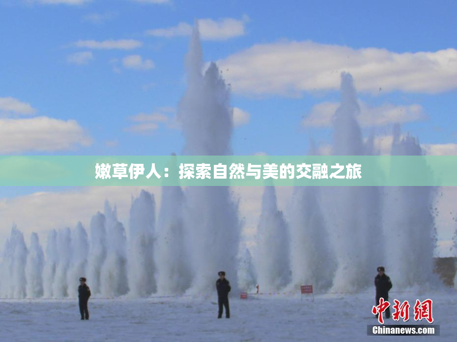 嫩草伊人：探索自然与美的交融之旅