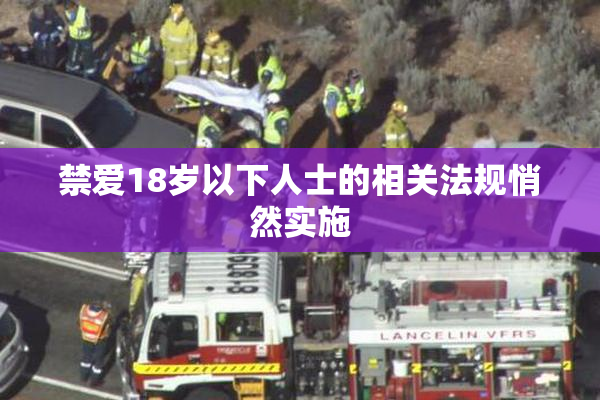 禁爱18岁以下人士的相关法规悄然实施