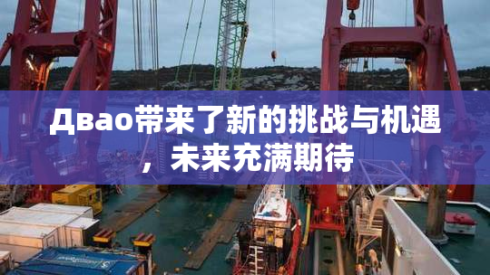 Двао带来了新的挑战与机遇，未来充满期待