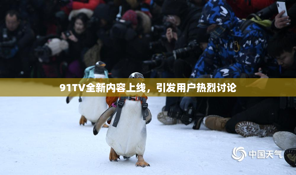 91TV全新内容上线，引发用户热烈讨论