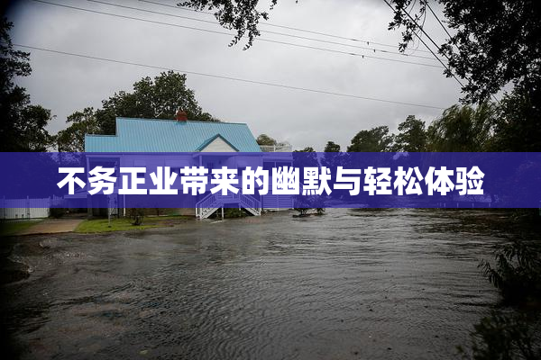 不务正业带来的幽默与轻松体验