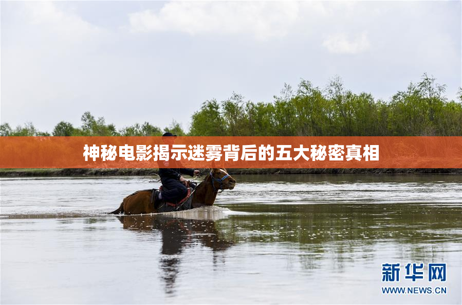 神秘电影揭示迷雾背后的五大秘密真相