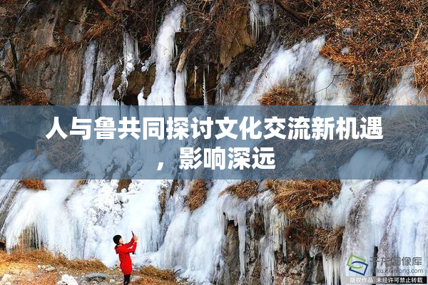 人与鲁共同探讨文化交流新机遇，影响深远