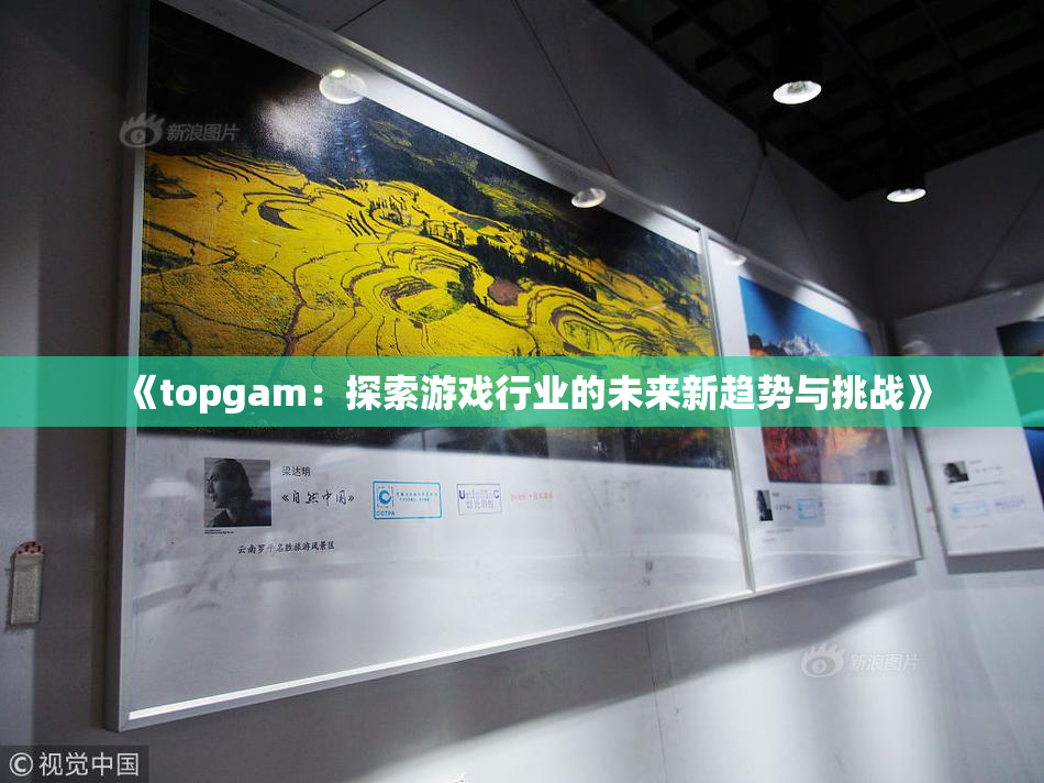 《topgam：探索游戏行业的未来新趋势与挑战》