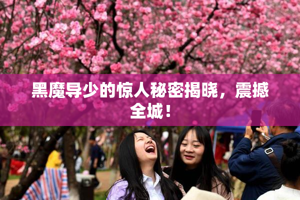 黑魔导少的惊人秘密揭晓，震撼全城！
