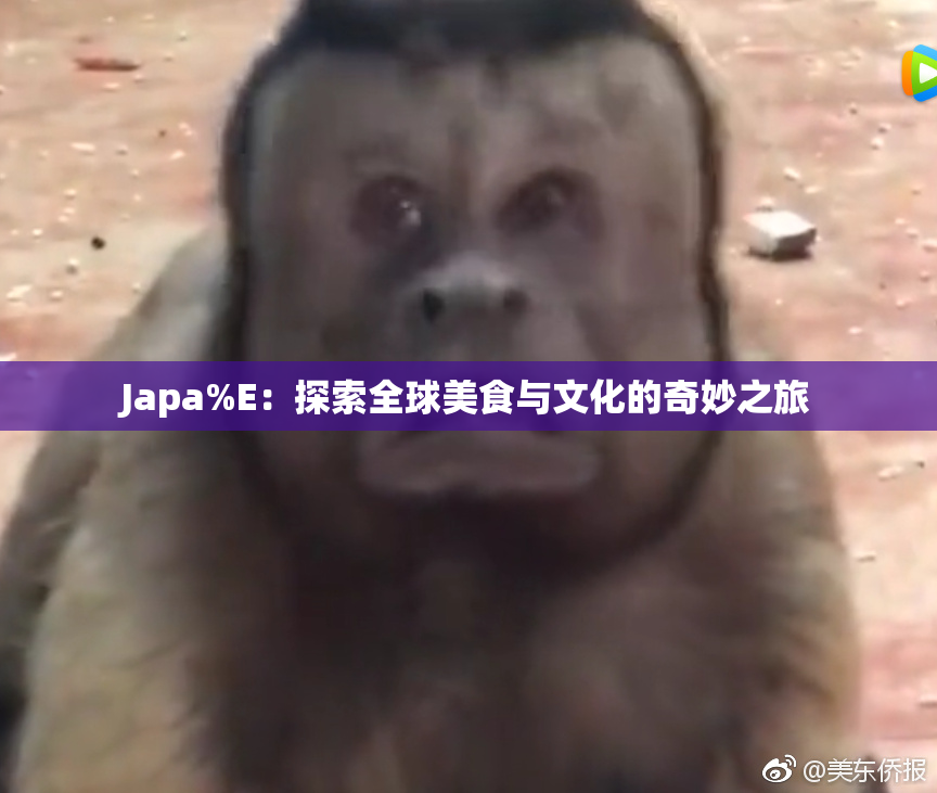 Japa%E：探索全球美食与文化的奇妙之旅