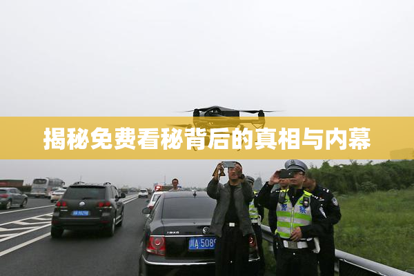 揭秘免费看秘背后的真相与内幕