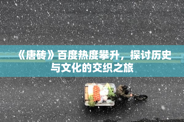《唐砖》百度热度攀升，探讨历史与文化的交织之旅