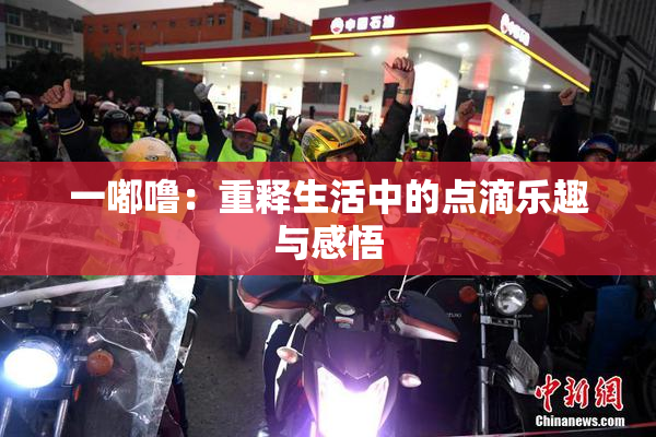 一嘟噜：重释生活中的点滴乐趣与感悟