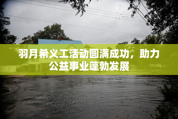 羽月希义工活动圆满成功，助力公益事业蓬勃发展