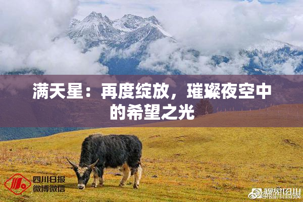 满天星：再度绽放，璀璨夜空中的希望之光