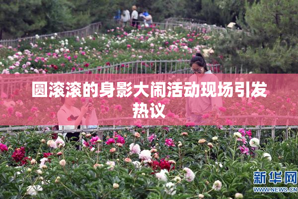 圆滚滚的身影大闹活动现场引发热议