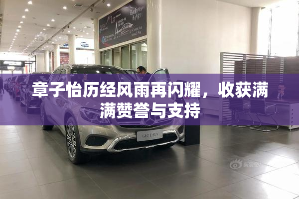 章子怡历经风雨再闪耀，收获满满赞誉与支持