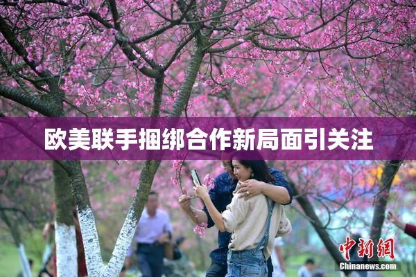 欧美联手捆绑合作新局面引关注