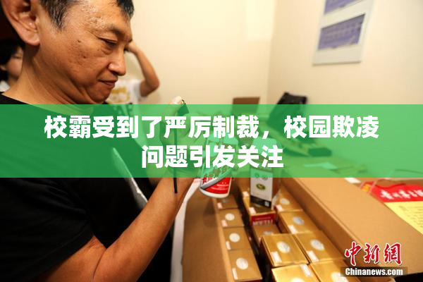 校霸受到了严厉制裁，校园欺凌问题引发关注