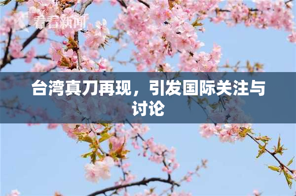 台湾真刀再现，引发国际关注与讨论