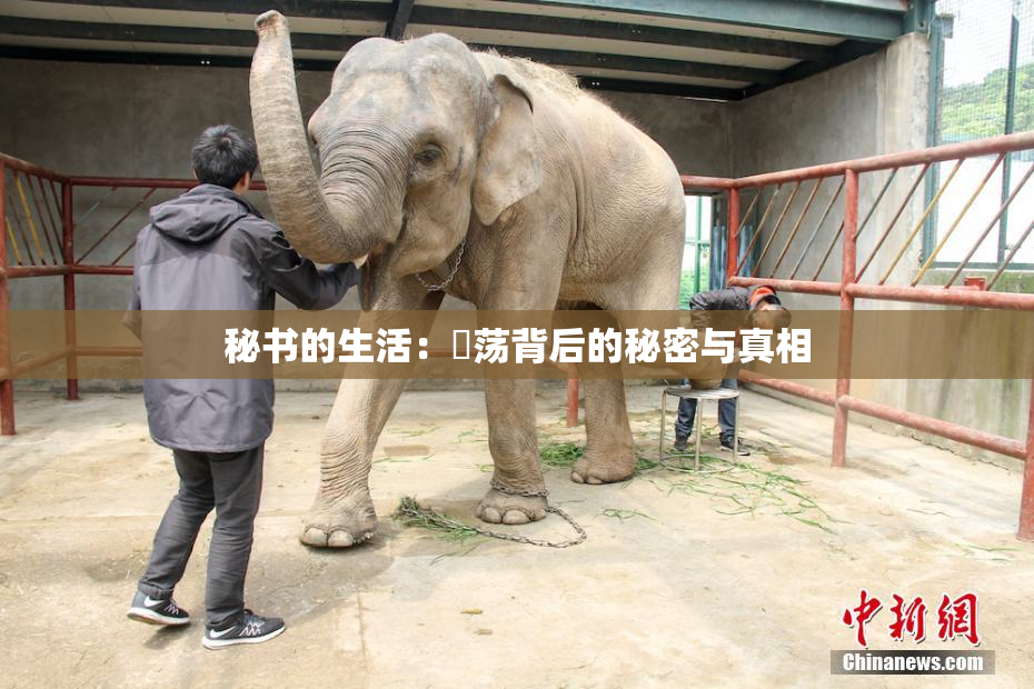 秘书的生活：婬荡背后的秘密与真相