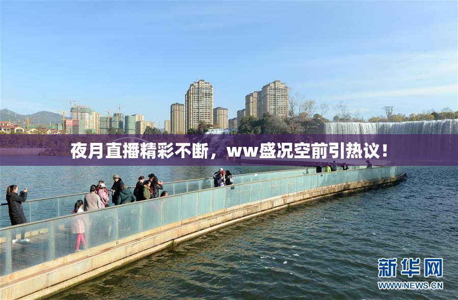 夜月直播精彩不断，ww盛况空前引热议！
