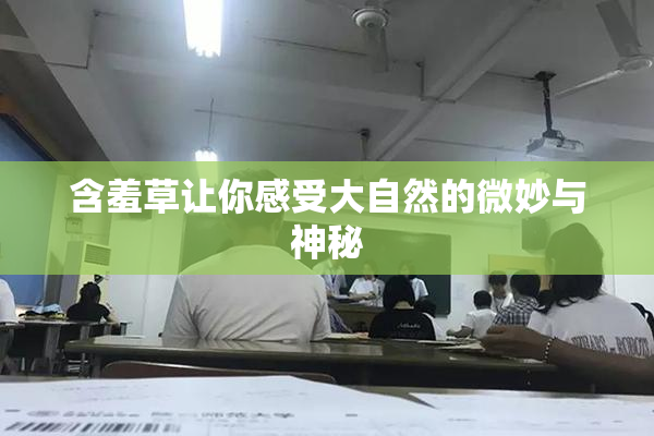 含羞草让你感受大自然的微妙与神秘