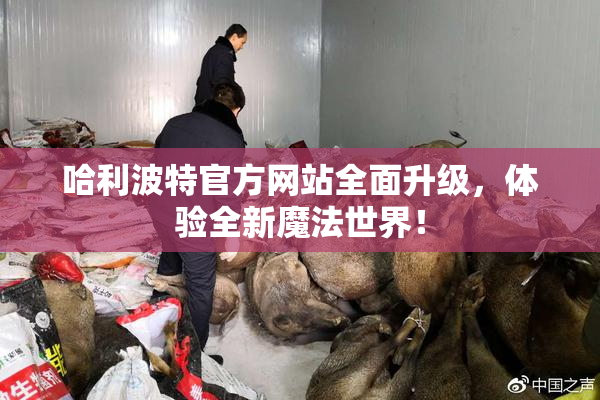 哈利波特官方网站全面升级，体验全新魔法世界！