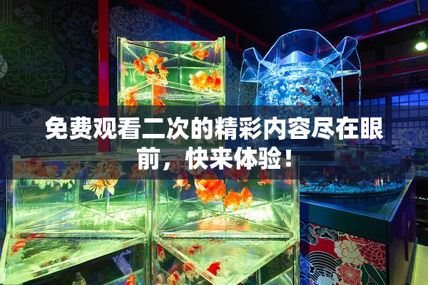免费观看二次的精彩内容尽在眼前，快来体验！