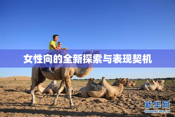 女性向的全新探索与表现契机