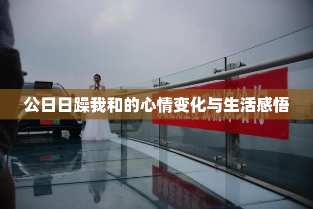 公日日躁我和的心情变化与生活感悟