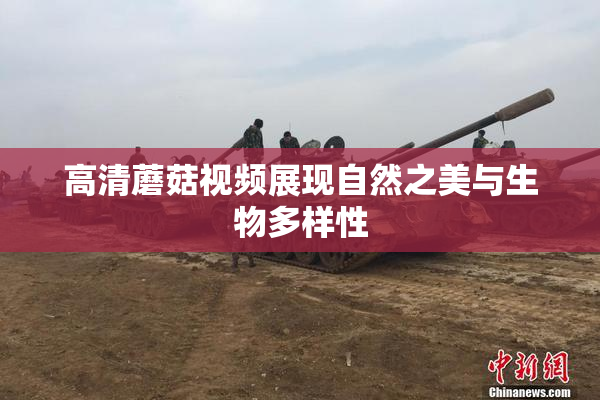 高清蘑菇视频展现自然之美与生物多样性