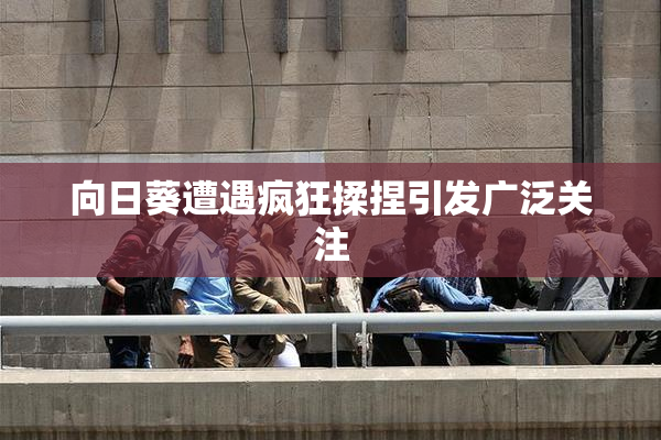 向日葵遭遇疯狂揉捏引发广泛关注