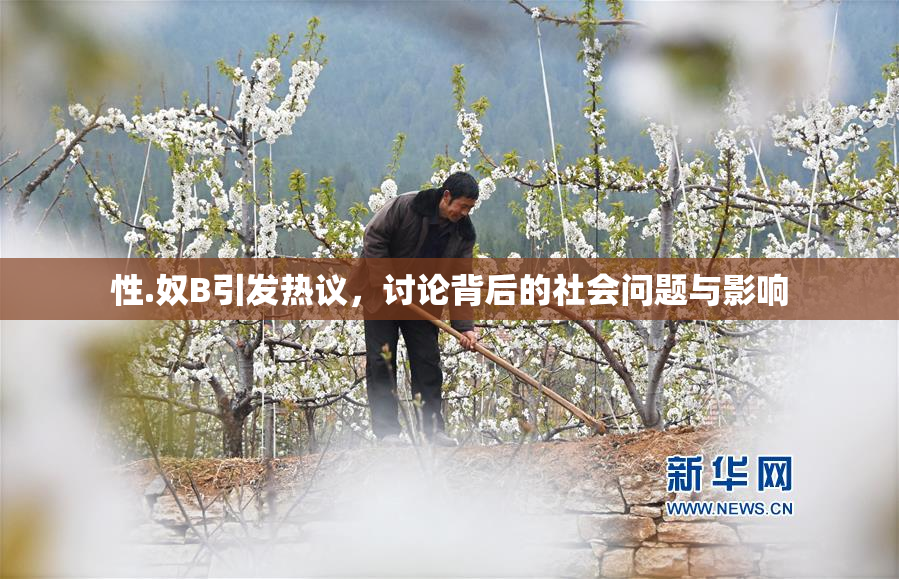 性.奴B引发热议，讨论背后的社会问题与影响