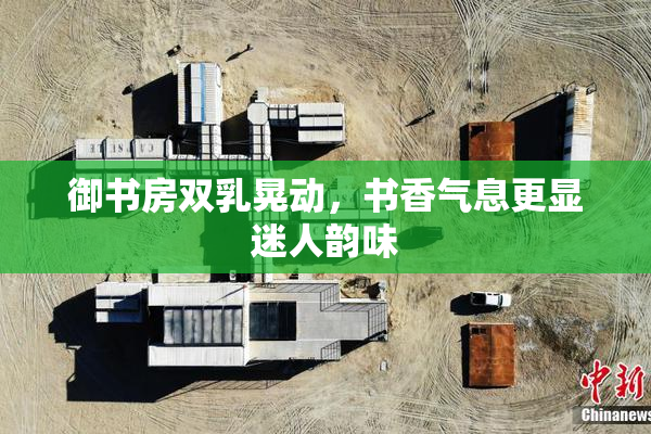 御书房双乳晃动，书香气息更显迷人韵味